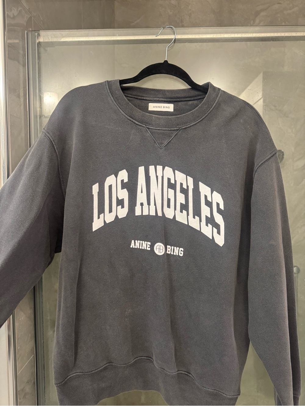 Anine Bing LA Sweatshirt